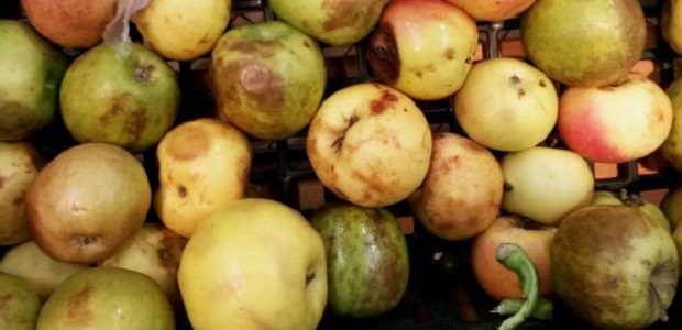 Как убрать неприятный запах из холодильника