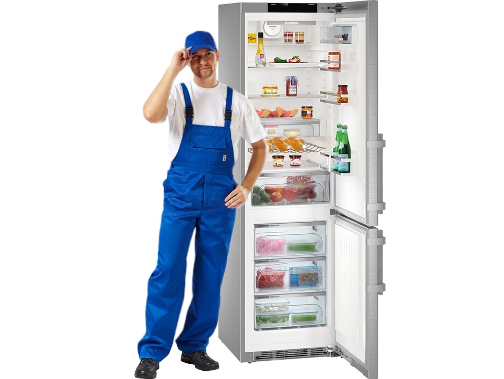 Как заменить лампочку в холодильнике Liebherr 