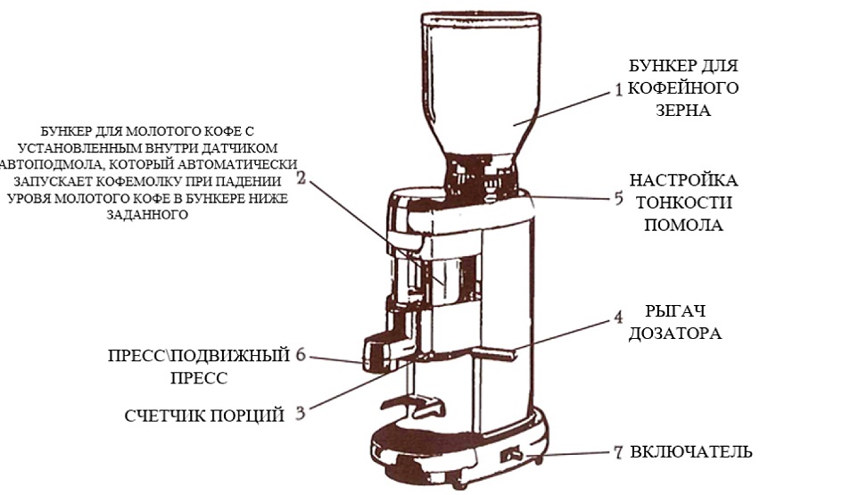 Как выбрать кофемолку 