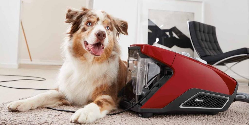 Miele — с заботой о том, что вам по-настоящему дорого. Новые пылесосы Blizzard.