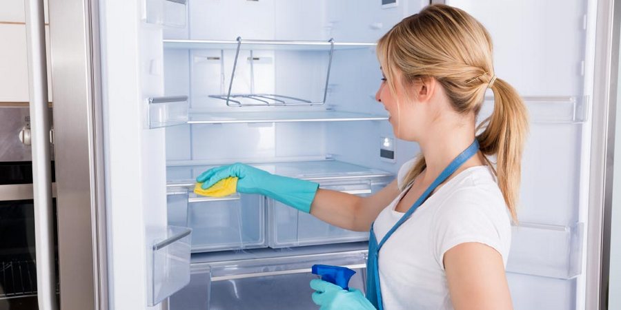 Как разморозить холодильник Bosch Как разморозить холодильник Bosch