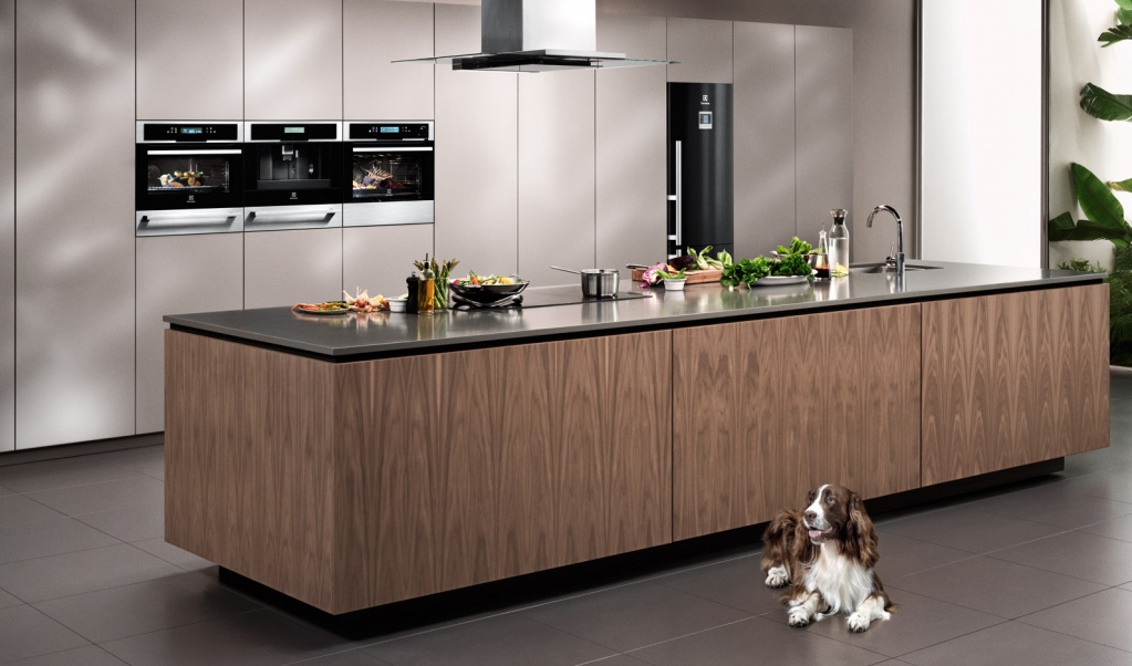 Обзор популярных моделей духовых шкафов  Обзор популярных моделей духовых шкафов