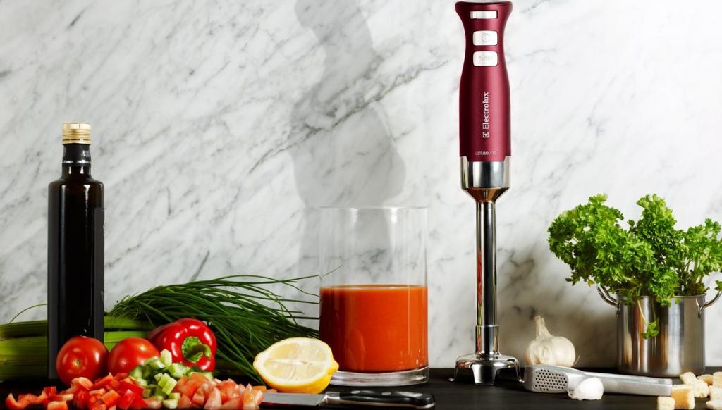 Ручной или стационарный — выбираем блендер