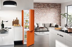 Рейтинг лучших холодильников Liebherr 2026 года по цене, качеству и надежности Рейтинг лучших холодильников Liebherr 2026 года по цене, качеству и надежности