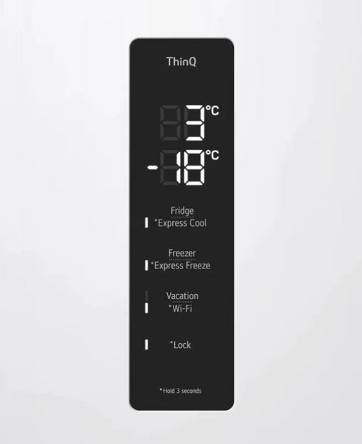 Холодильник LG GC-B459AQQW (preview 9)