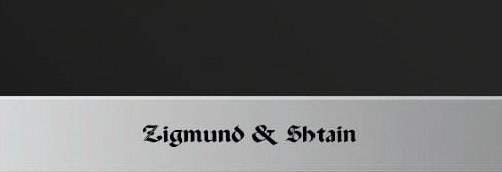 Духовой шкаф Zigmund Shtain EN 59.512 S (preview 3)