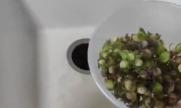 Измельчитель пищевых отходов InSinkErator ISE E75-2 (video 2)