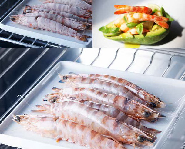 Встраиваемый шкаф шоковой заморозки Irinox Freddy 45 HF452350008 (полированная  медь/черный) (фото 10) Встраиваемый шкаф шоковой заморозки Irinox Freddy 45 HF452350008 (полированная  медь/черный) (preview 10)