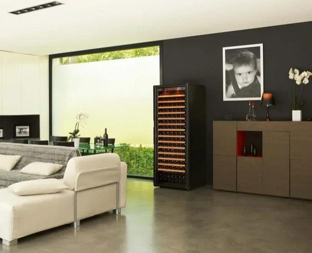 Монотемпературный винный шкаф EuroCave P-300048-L (preview 3)