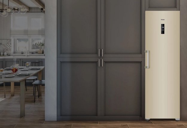 Морозильная камера Haier H2F-262GAA (preview 5)