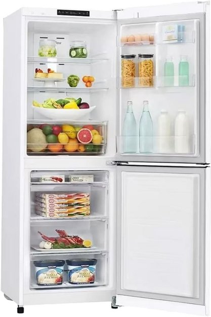 Холодильник LG GA-B419SWJL (preview 3)