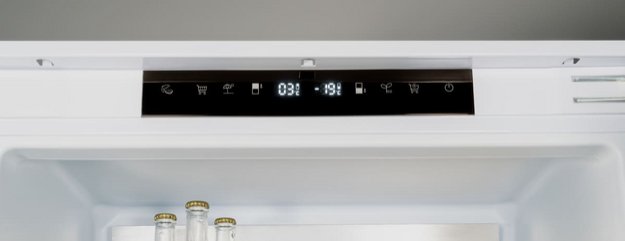 Встраиваемый холодильник Bertazzoni REF603BBNPTC (preview 2)