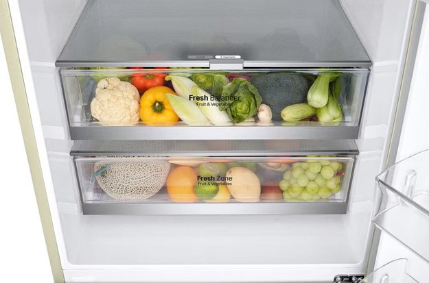 Холодильник LG GC-B569PECM (preview 12)