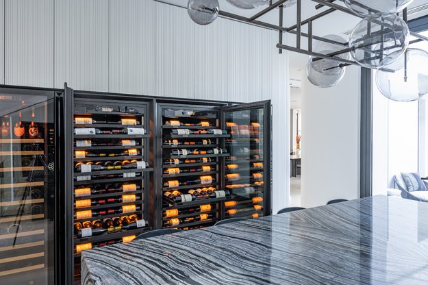 Монотемпературный винный шкаф EuroCave V-10002-L (preview 9)