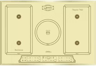 Индукционная варочная поверхность Kaiser KCT 7797 FI ElfEm фото в Казани и Татарстане