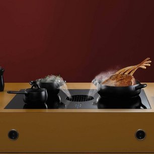 Индукционная варочная панель со встроенной вытяжкой BORA PUXA фото 3 в Казани и Татарстане