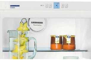 Холодильник Либхер K 3120 Comfort фото 3 в Казани и Татарстане Холодильник Liebherr K 3120 Comfort фото 3 в Казани и Татарстане