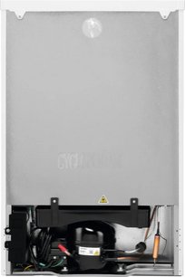 Холодильник Электролюкс LXB1AE13W0 фото 2 в Казани и Татарстане Холодильник Electrolux LXB1AE13W0 фото 2 в Казани и Татарстане