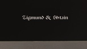 Духовой шкаф Zigmund Shtain EN 132.921 S фото 4 в Казани и Татарстане