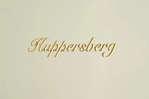 Холодильник Куперсберг NRS 1857 C Bronze фото 4 в Казани и Татарстане Холодильник Kuppersberg NRS 1857 C Bronze фото 4 в Казани и Татарстане