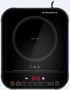 Настольная плитка Maunfeld EFI301TBK фото в Казани и Татарстане