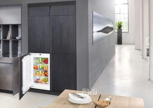 Холодильник Либхер IB 1650 фото 4 в Казани и Татарстане Холодильник Liebherr IB 1650 фото 4 в Казани и Татарстане