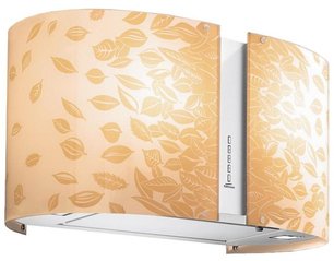 Вытяжка Falmec Mirabilia 67 Natura Gold vetro (800) ECP фото в Казани и Татарстане