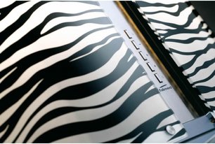 Вытяжка Falmec Mirabilia 67 Zebra Vetro (800) ECP фото 2 в Казани и Татарстане