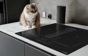 Индукционная варочная панель Zigmund Shtain CIS 303.60 BX с вытяжкой фото 4 в Казани и Татарстане