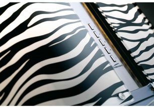 Вытяжка Falmec Mirabilia Isola 67 Zebra Vetro (800) ECP фото 2 в Казани и Татарстане