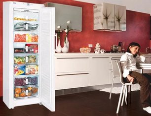 Морозильник Либхер GN 3056 Premium NoFrost фото 3 в Казани и Татарстане Морозильник Liebherr GN 3056 Premium NoFrost фото 3 в Казани и Татарстане
