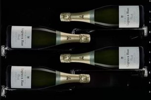 Винный шкаф Дунавокс DX-58.258DSS фото 3 в Казани и Татарстане Винный шкаф Dunavox DX-58.258DSS фото 3 в Казани и Татарстане