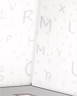 Вытяжка Falmec Mirabilia 97 Alphabet Vetro (800) ECP фото 2 в Казани и Татарстане