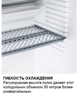 Минибар Дометик RH 131 LD фото 2 в Казани и Татарстане Минибар Dometic RH 131 LD фото 2 в Казани и Татарстане