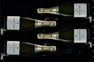 Винный шкаф Дунавокс DX-58.258DB фото 3 в Казани и Татарстане Винный шкаф Dunavox DX-58.258DB фото 3 в Казани и Татарстане