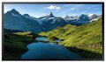 Уличный дисплей Samsung LH55OHAOSGBXCI