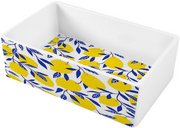 Мойка Omoikiri MIKURA 76-LEMON фото в Казани и Татарстане