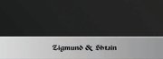 Духовой шкаф Zigmund Shtain EN 59.511 S фото 3 в Казани и Татарстане