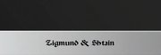 Духовой шкаф Zigmund Shtain EN 59.512 S фото 3 в Казани и Татарстане