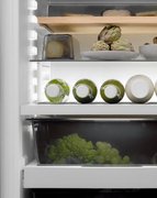 Встраиваемый холодильник BORA C178KGWS2 фото 4 в Казани и Татарстане