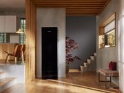 Сушильный шкаф Miele Aerium LC 860 WP OBSW фото 2 в Казани и Татарстане