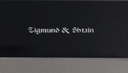 Духовой шкаф Zigmund Shtain EN 142.921 S фото 4 в Казани и Татарстане