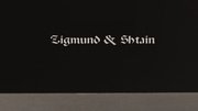 Духовой шкаф Zigmund Shtain EN 132.921 S фото 4 в Казани и Татарстане