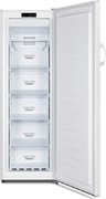 Морозильный шкаф Gorenje FN4171CW фото 2 в Казани и Татарстане