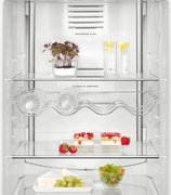 Холодильник AEG RCB63726OW фото 3 в Казани и Татарстане