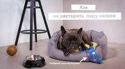 Стиральная машина Electrolux EW9F1R61B фото 4 в Казани и Татарстане
