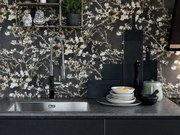 Мойка Franke BXX 210-68 сталь фото 2 в Казани и Татарстане