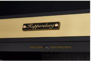 Вытяжка Kuppersberg T 669 ANT Bronze фото 3 в Казани и Татарстане
