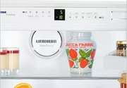 Холодильник Liebherr ICP 3016 Comfort фото 3 в Казани и Татарстане