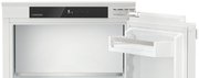Встраиваемый холодильник Liebherr IRe 4021 Plus фото 3 в Казани и Татарстане